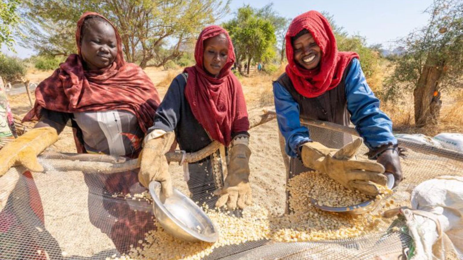 missao-distribui-alimento-em-meio-a-guerra-no-sudao:-“deus-nao-os-esqueceu”