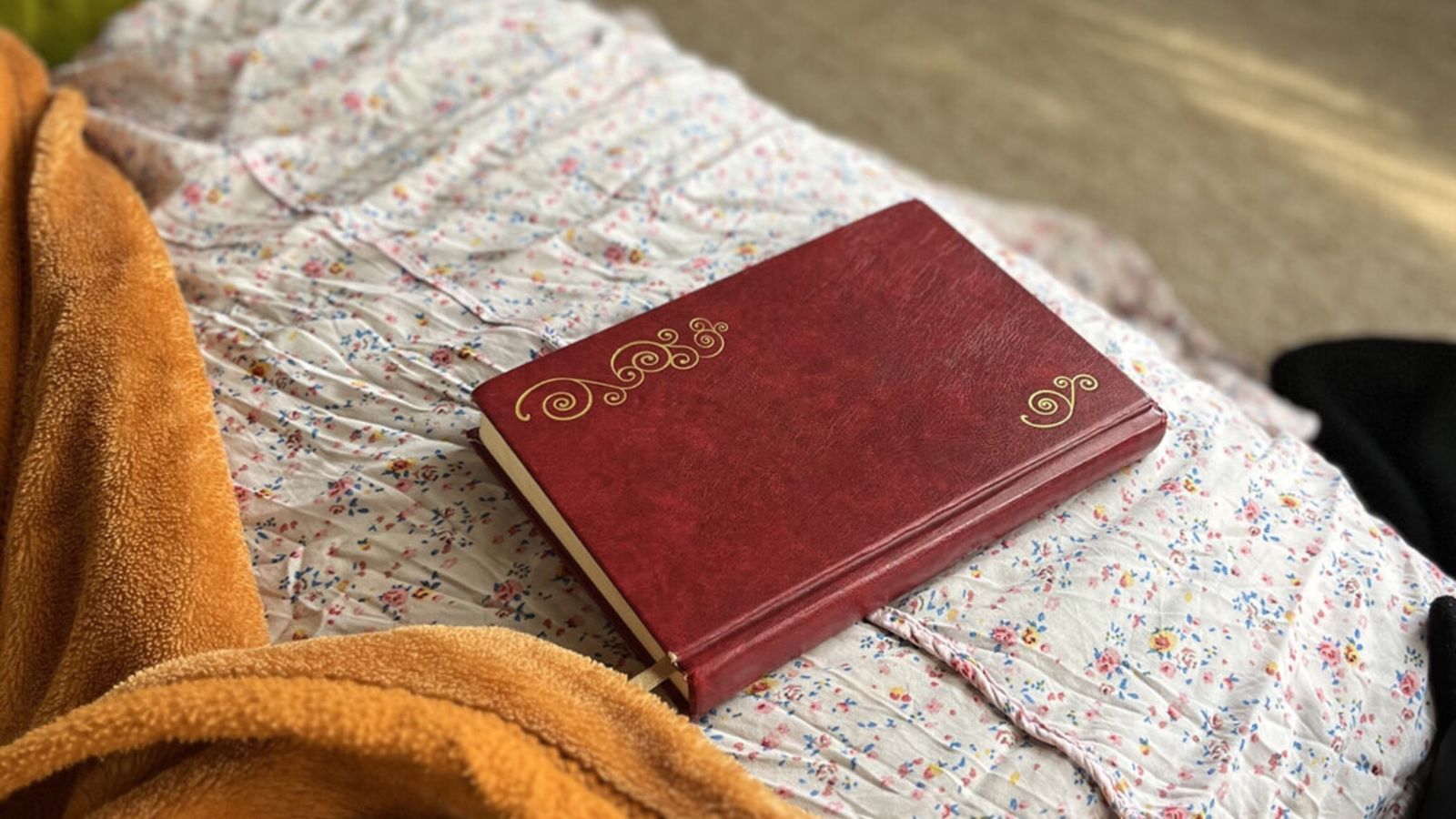 jovens-viram-cristas-ao-testar-biblia-e-alcorao:-“pedimos-para-deus-mostrar-o-livro-certo”