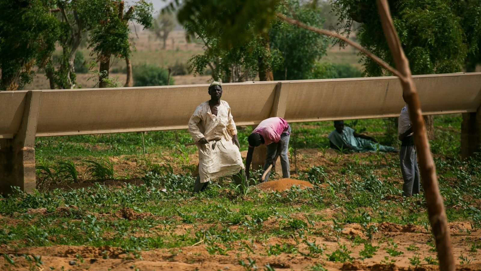 “genocidio”:-85-cristaos-sao-mortos-em-uma-semana-de-ataques-na-nigeria