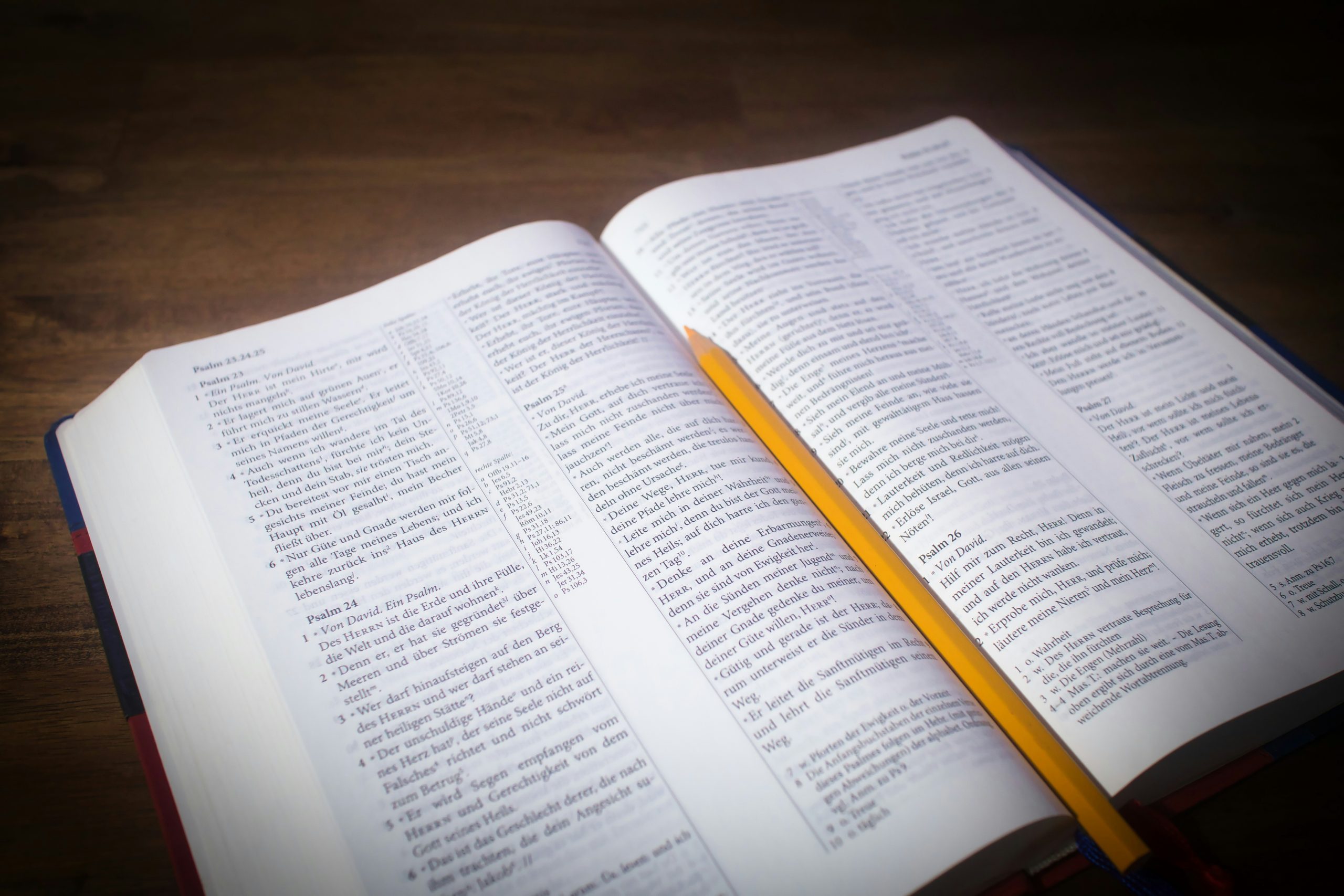 camara-de-salvador-aprova-uso-da-biblia-como-material-de-apoio-em-escolas