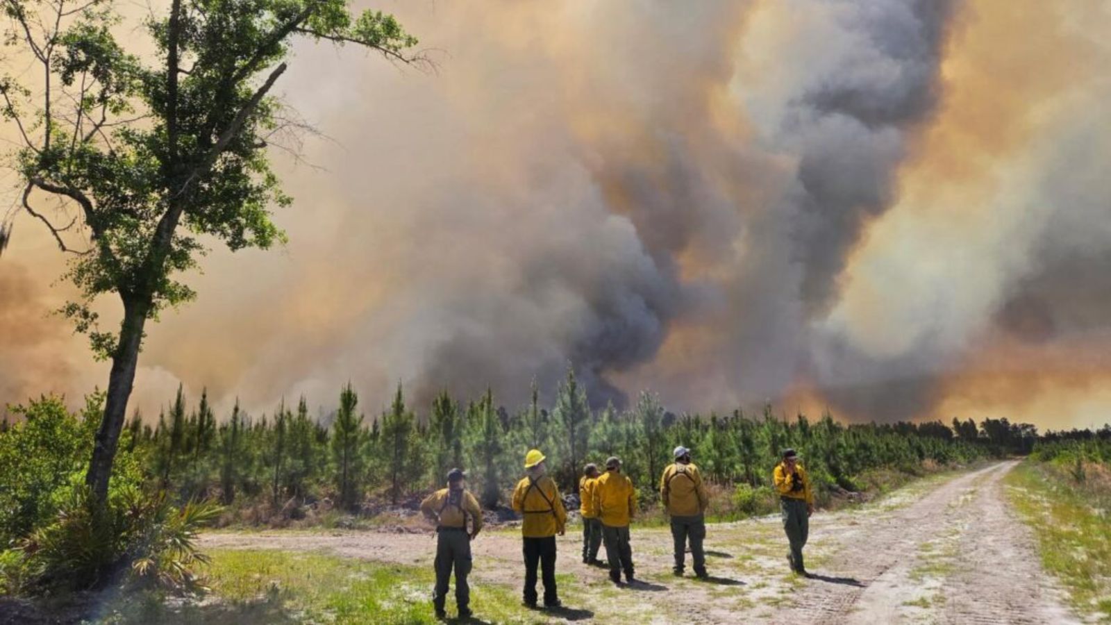 apos-oracoes,-chuva-ajuda-a-conter-incendio-florestal-na-georgia:-“foi-uma-bencao”